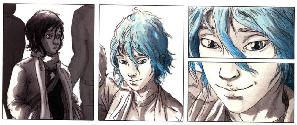 blue is the warmest colour graphic novel