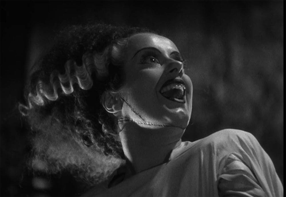 “Frankenbitch[es]”: Adapting Frankenstein’s Female Monster in Literature and Film
Gracie Bain (University of Arkansas)
