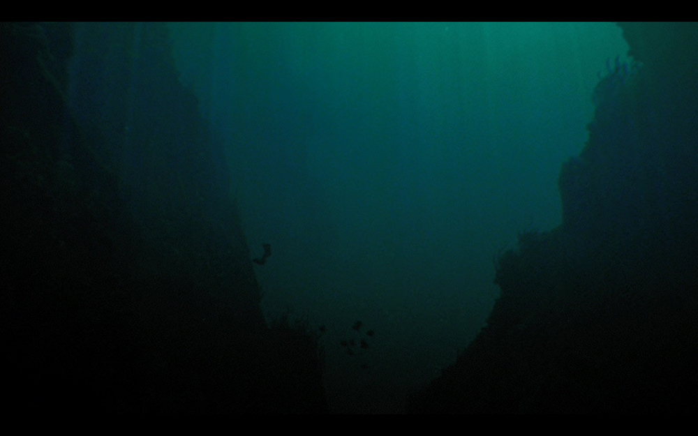 Storyworld Revisioning and the Challenges of Fidelity: An Analysis of Moby-Dick and In the Heart of the Sea, Nobuhisa Katafuchi, Literature Film Quarterly