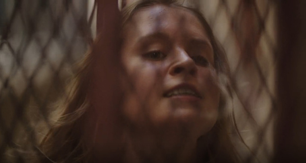 Before Gone Girl: Generational Trauma, Sharp Objects, and Gillian Flynn’s Domestic Noir, Aleksander Szaranski, Literature Film Quarterly