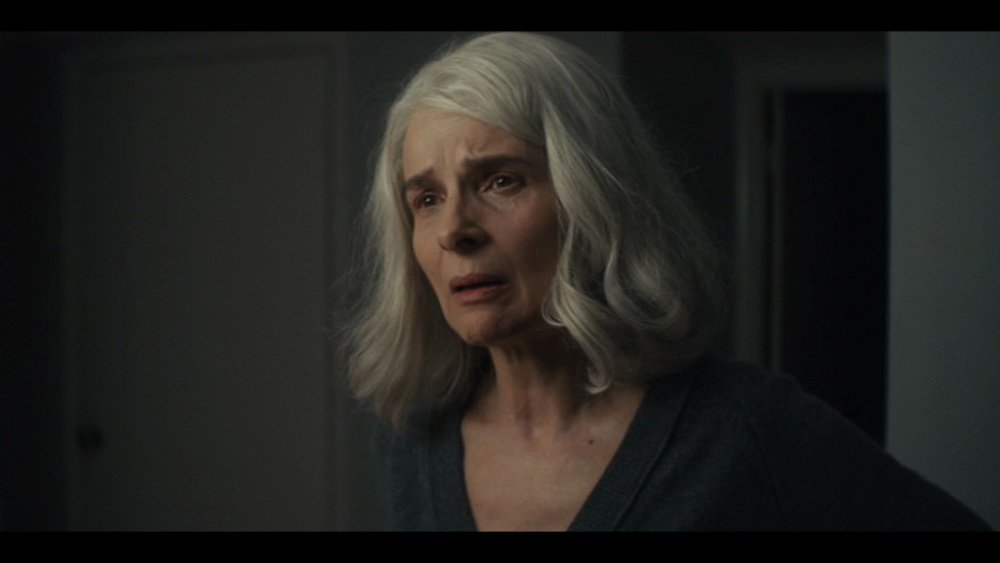 Adapting true crime events: teasing solutions to The Staircase, George S. Larke-Walsh and Elayne Chaplin, Literature Film Quarterly