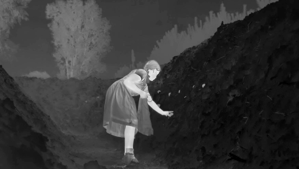 Empathy and Adaptation in Jonathan Glazer’s Under the Skin and The Zone of Interest, Ian Olney, Literature Film Quarterly