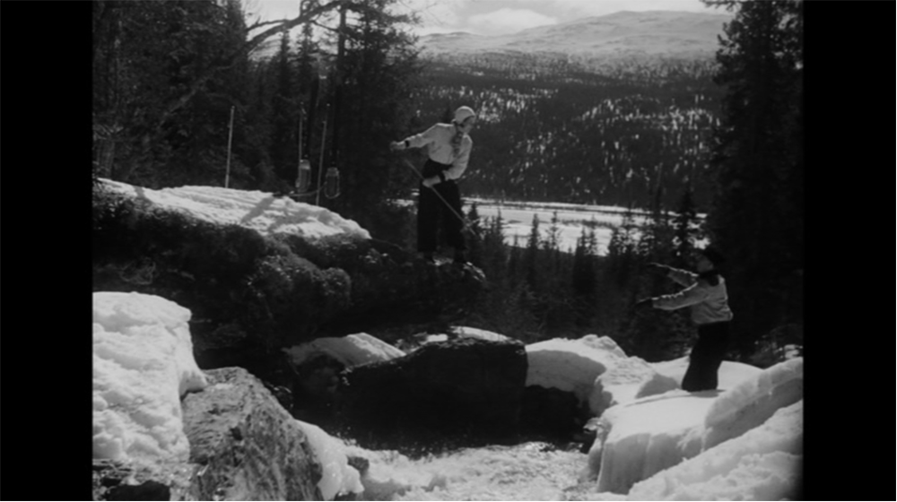 When Raskolnikov Spoke Swedish: Transcultural Adaptations in Swedish Classical Film, Anna Sofia Rossholm
, Literature Film Quarterly