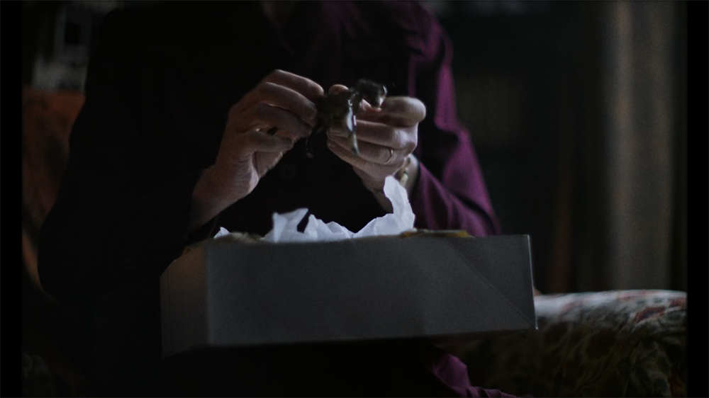 A person holding a small crab