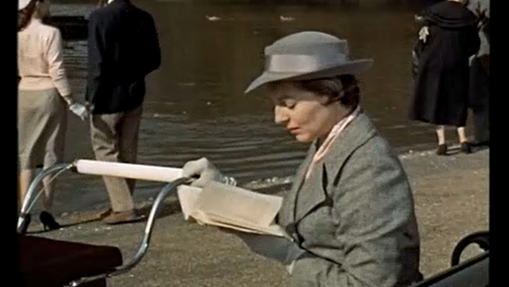 Secret Agent Nannie (Faith Brook)