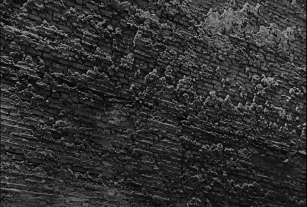 Close-up of the vast stone wall from Film, emphasizing its barren and seemingly endless surface.