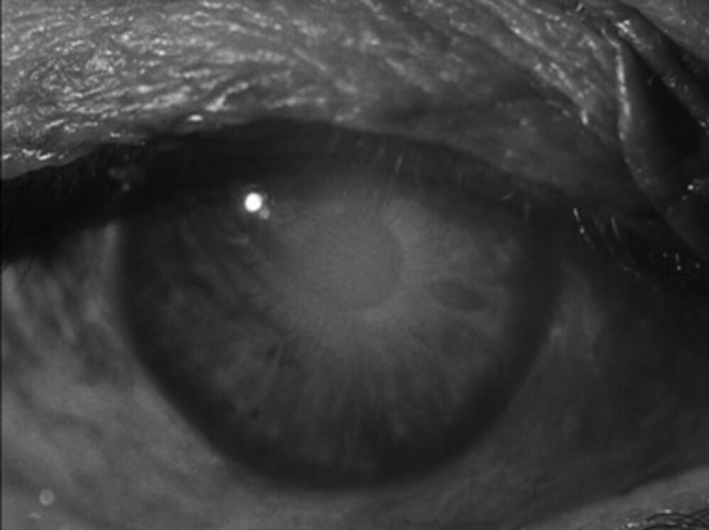 Extreme close-up of Buster Keaton's eye used in the prologue and epilogue of Film.