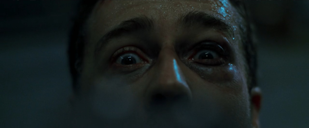 The camera pulls back, as if emerging from between the narrator’s eyebrows, and settles into an extreme close-up of the narrator’s eyes.